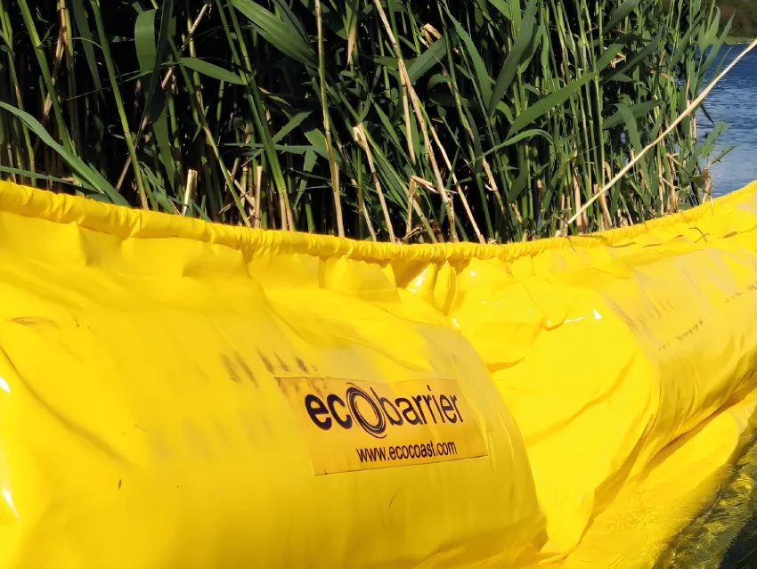 Oil containment boom installed near shoreline vegetation for spill control